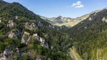დემოთის ციხე