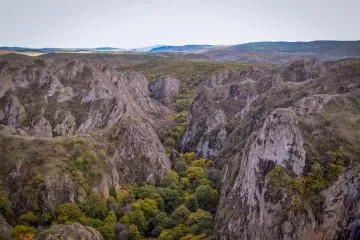 ბირთვისი