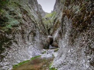 ბირთვისის კანიონი